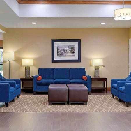 Comfort Suites Johnson City Near University Exteriér fotografie