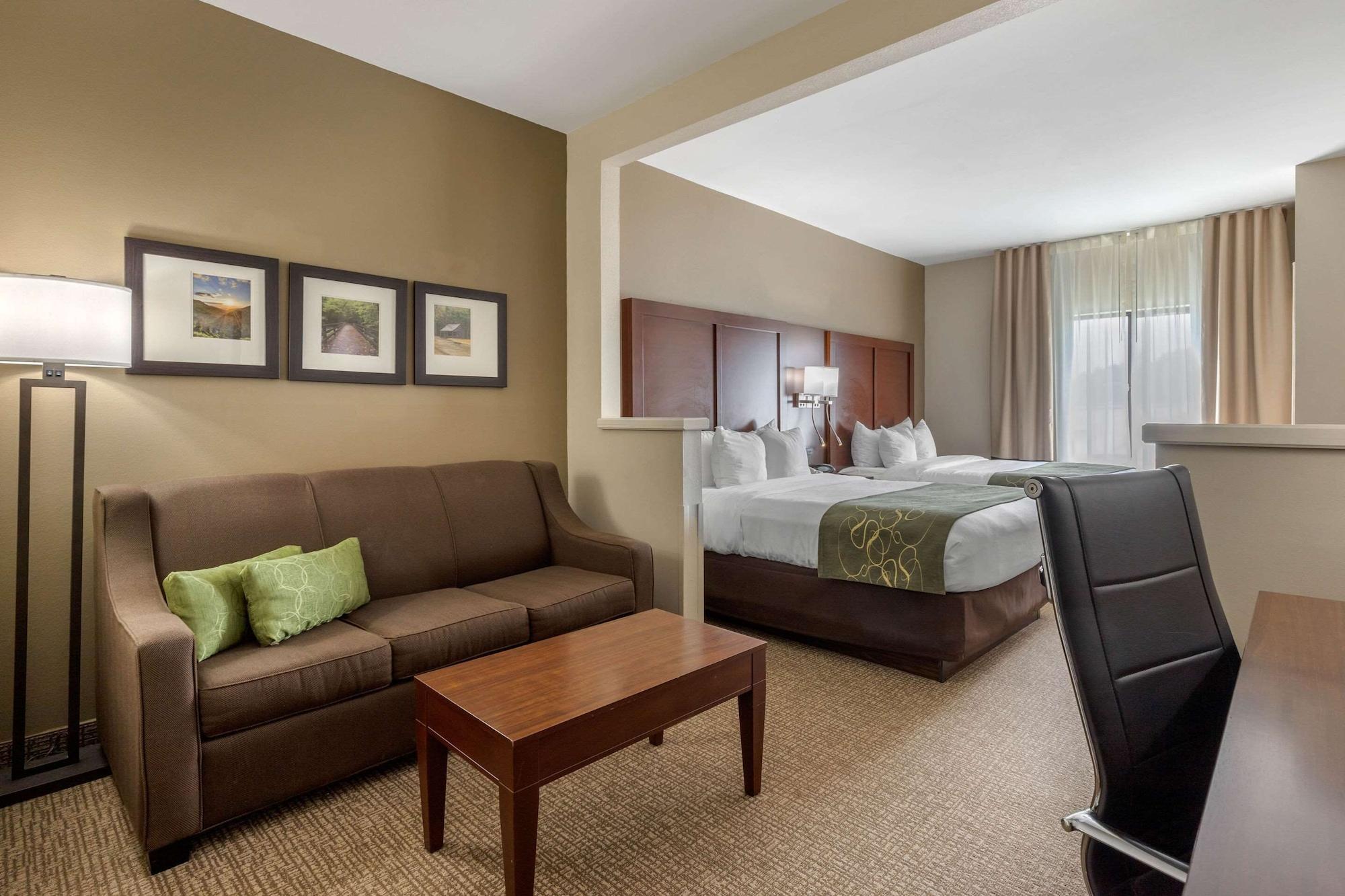 Comfort Suites Johnson City Near University Exteriér fotografie