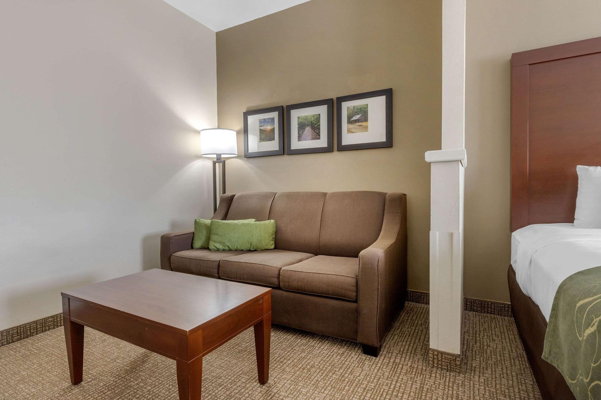 Comfort Suites Johnson City Near University Exteriér fotografie