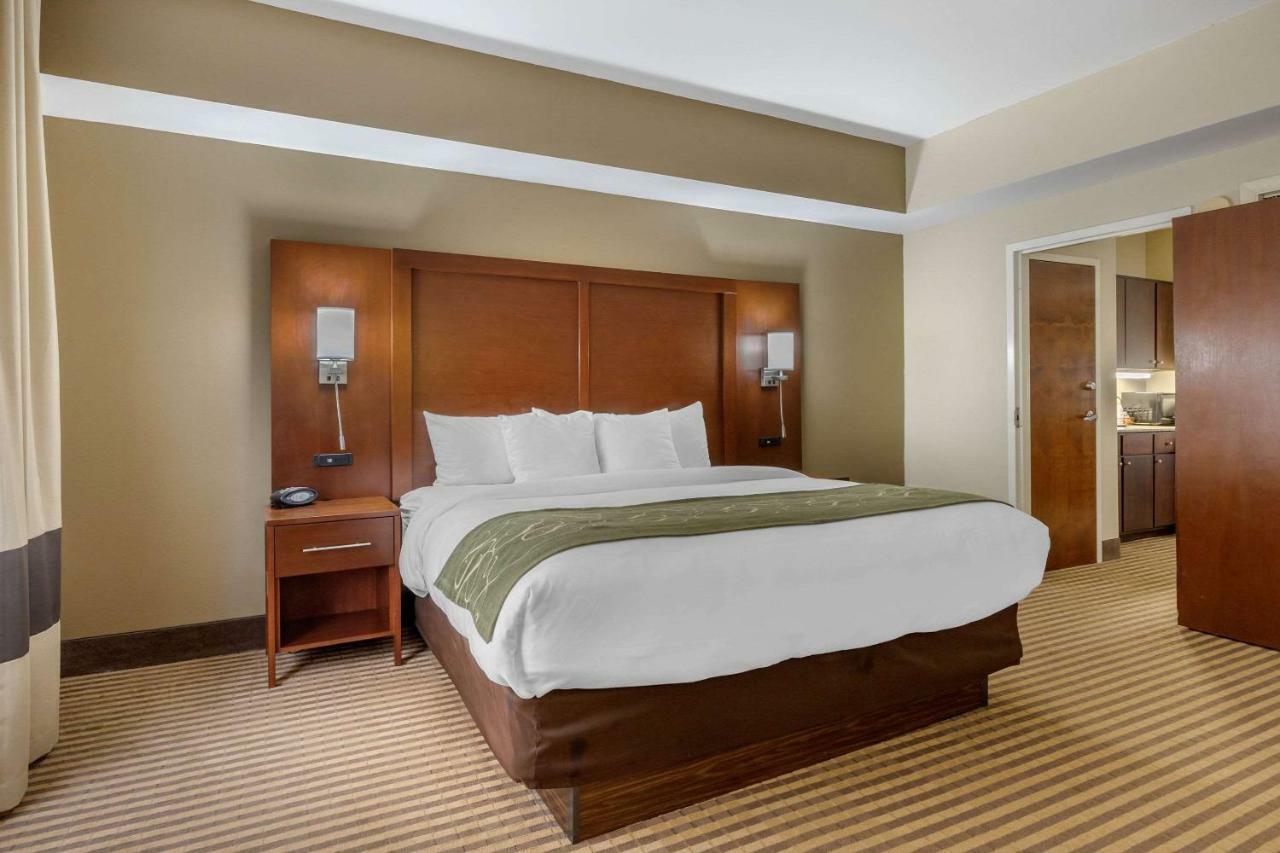 Comfort Suites Johnson City Near University Exteriér fotografie